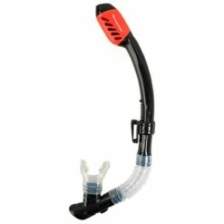 Anemone Dry Diving Snorkel