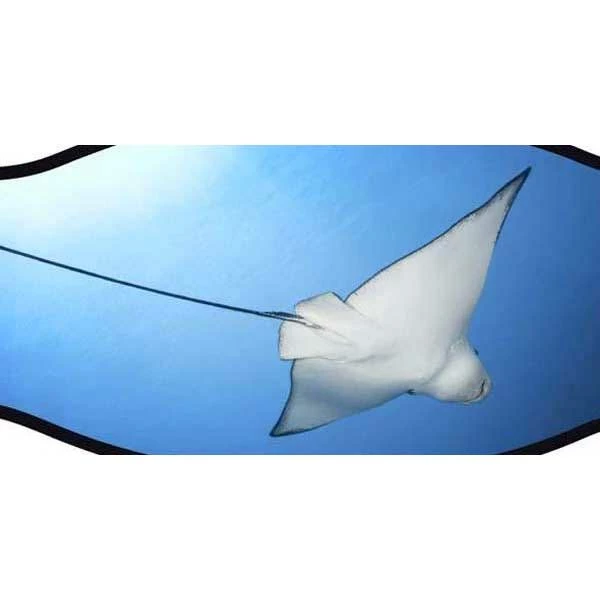 Neoprene Mask Strap Double Velcro 2 Neoprene Mask Strap Double Velcro - Image 2