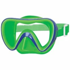 Turtle Snorkeling Mask