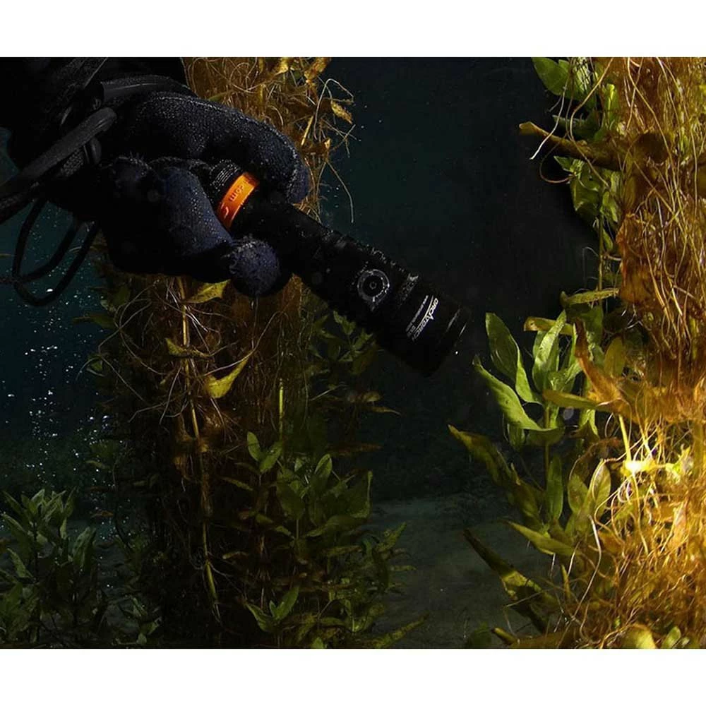 D530 LED Flashlight 8 D530 LED Flashlight - Image 8